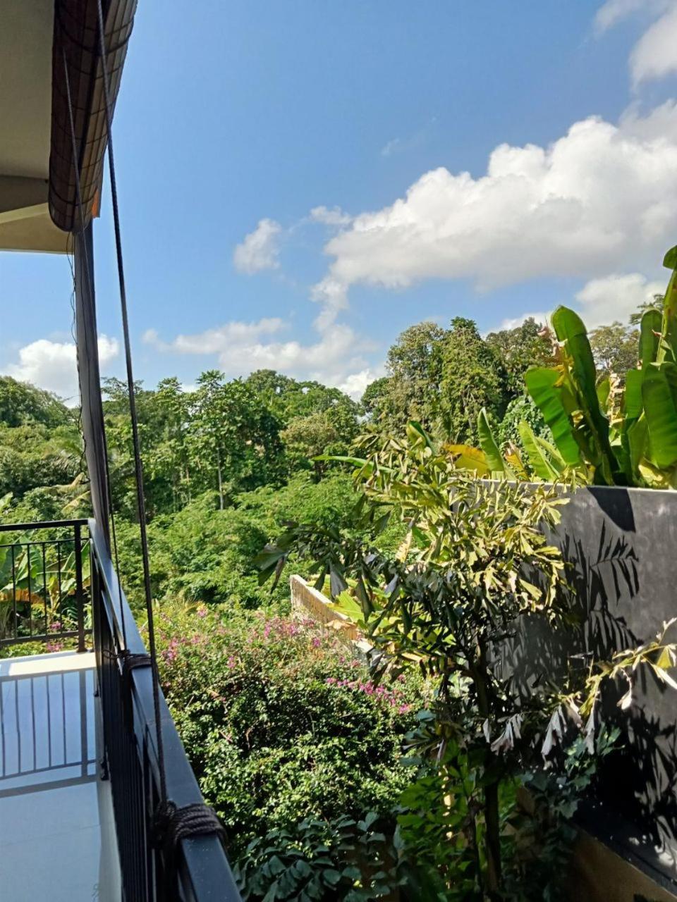 Lavista Guesthouse 乌布 外观 照片