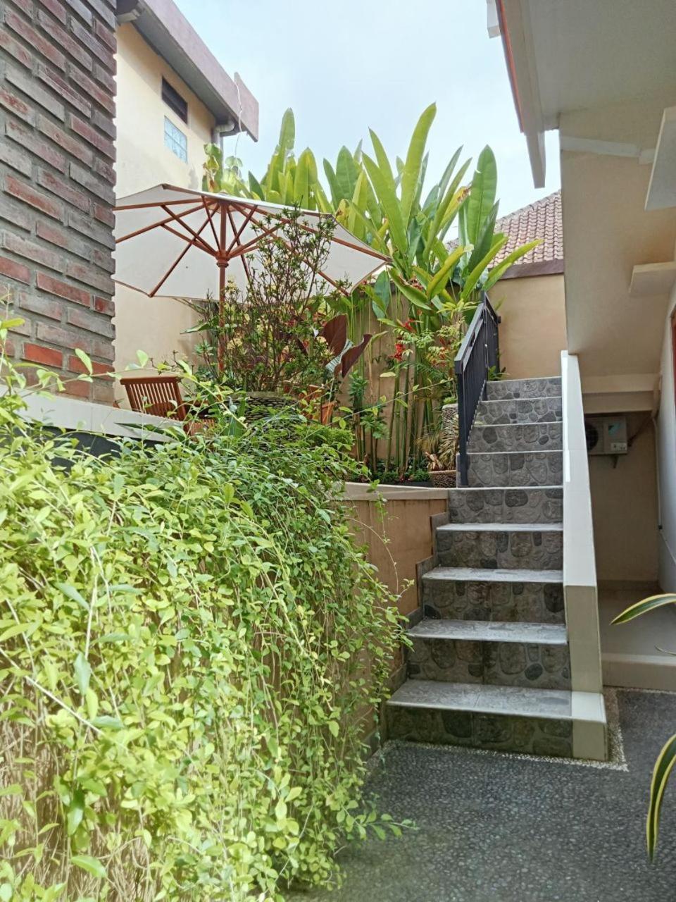 Lavista Guesthouse 乌布 外观 照片